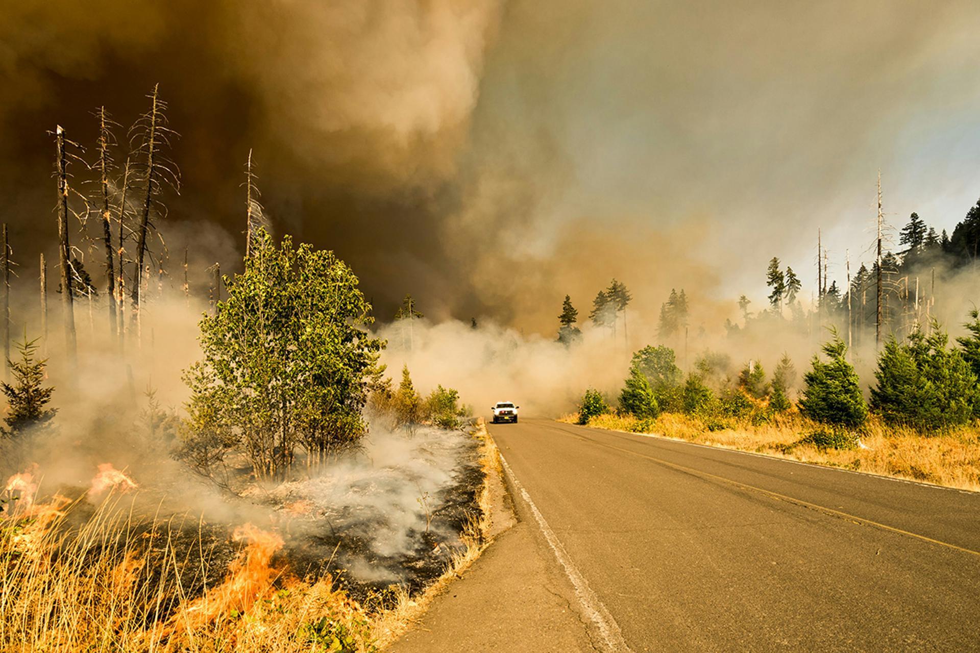 Les feux de forêt peuvent se déclarer plus rapidement que les systèmes actuels ne peuvent les détecter – et causer des dommages considérables s'ils ne sont pas maîtrisés rapidement après leur déclenchement.