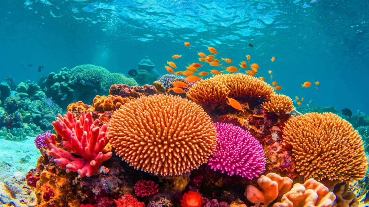 Scientists create heat-resistant super corals that could save entire marine ecosystems from collapse