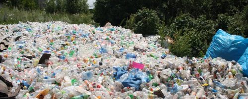 Plastic waste could soon be causing ‘irreversible damage’ to the environment