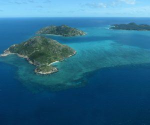 Almost 60 coral species at Australia’s Lizard Island are ‘missing’