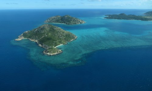 Almost 60 coral species at Australia’s Lizard Island are ‘missing’