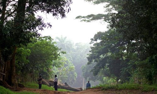 A new partnership on protecting rainforests in the DRC could prove pivotal