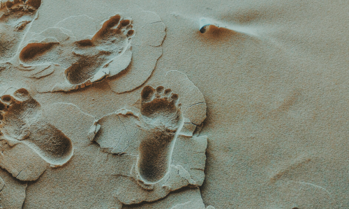 Ancient Footprints Reveal Two Human Species Coexisted