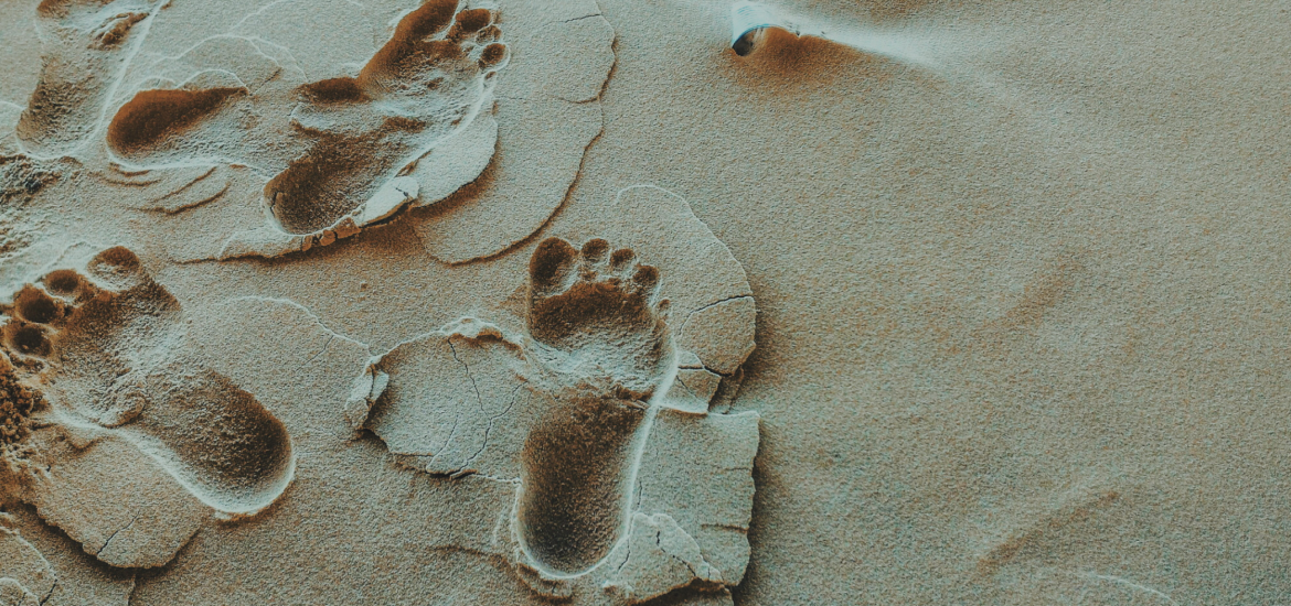 Ancient Footprints Reveal Two Human Species Coexisted