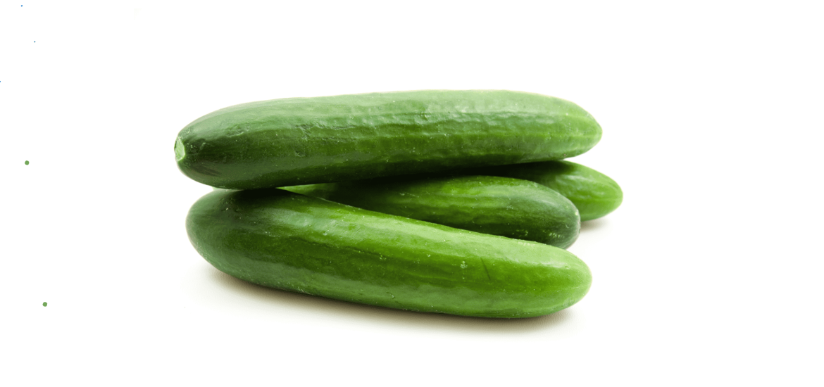 Scientists Unveil the Mystery of the Explosive Squirting Cucumber