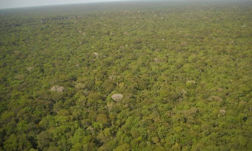 The great Amazon land grab: Brazil’s government is turning public land private, driving deforestation