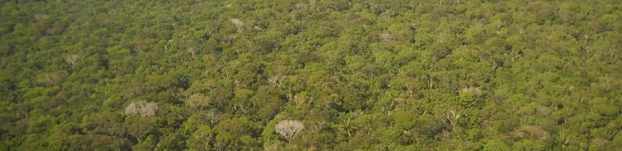 The great Amazon land grab: Brazil’s government is turning public land private, driving deforestation