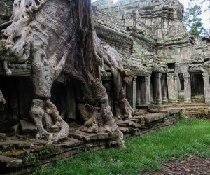 The Angkor and Mayan civilizations can ‘teach us about climate resilience’