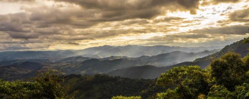 The Amazon’s forests are losing their resilience