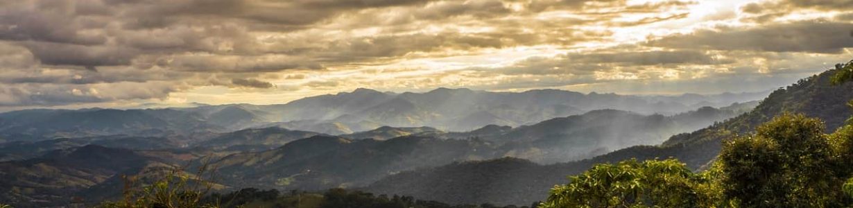 The Amazon’s forests are losing their resilience