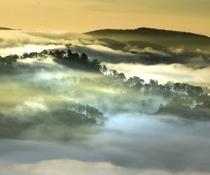 Deforestation drives decreases in rainfall across the tropics