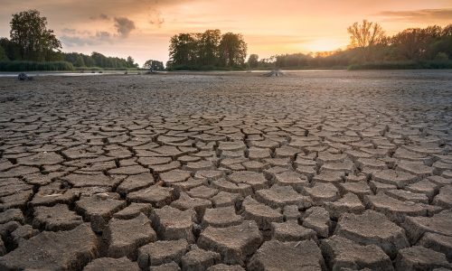 We should ‘get better prepared’ for flash droughts globally