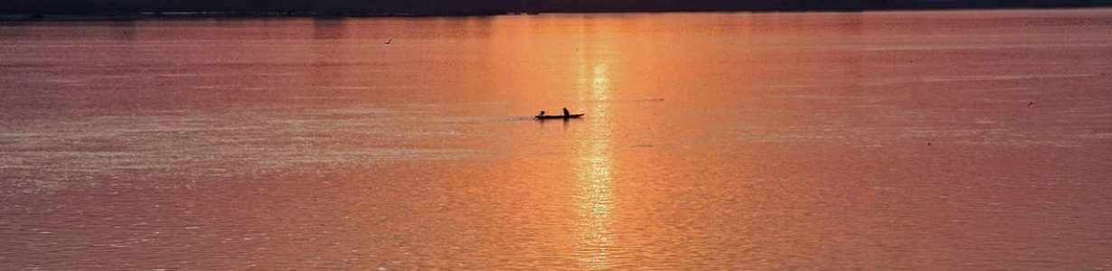 The last river dolphin’s death in Laos highights concerns about the Mekong