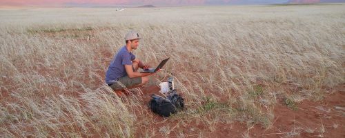 Namibia’s fairy circles offer insights on arid ecosystems