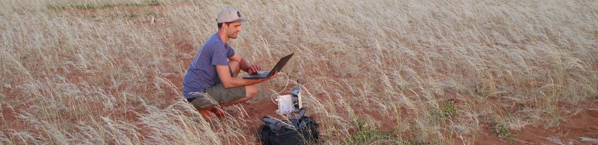 Namibia’s fairy circles offer insights on arid ecosystems