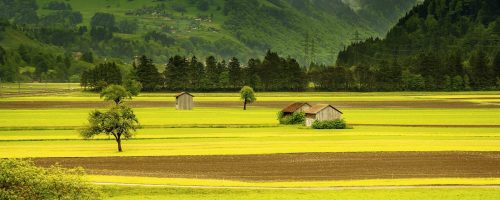 New food technologies could release 80% of the world’s farmland back to nature