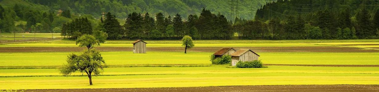 New food technologies could release 80% of the world’s farmland back to nature