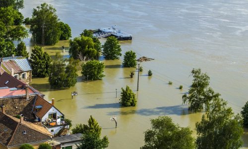 Crops could soon be fortified against flooding, scientists say