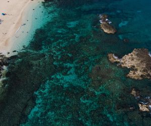 Pollution from land can greatly harm fragile coral reefs