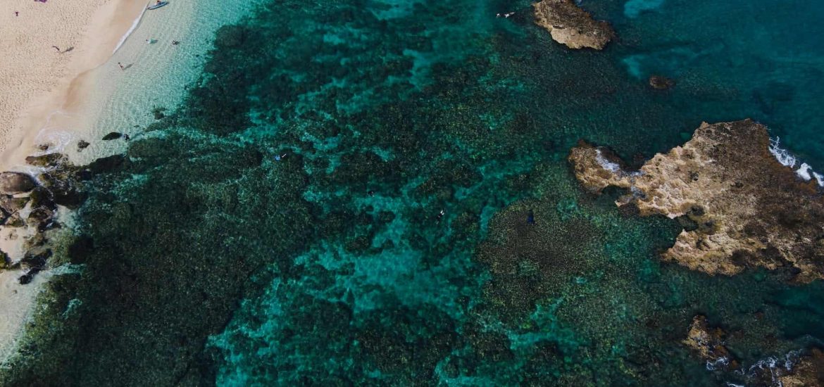 Pollution from land can greatly harm fragile coral reefs