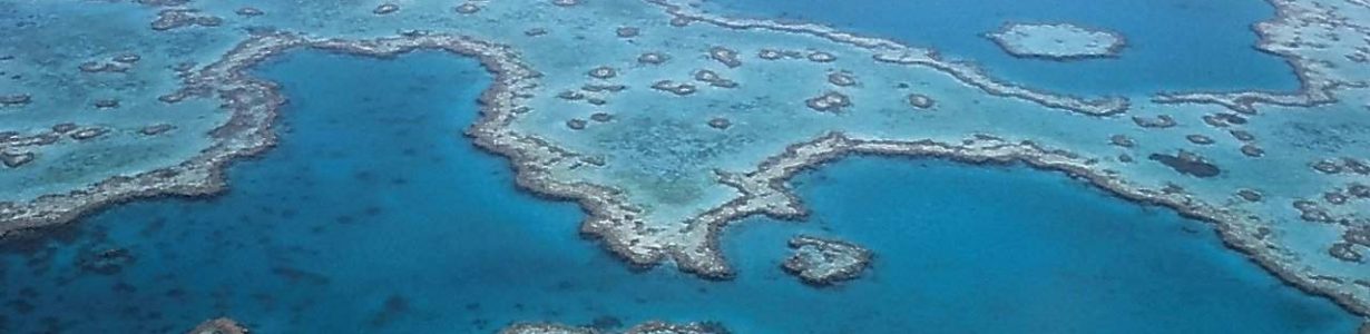 Australia ‘must do more’ to protect the Great Barrier Reef