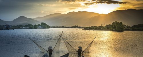 Rare sighting of a critically endangered fish in the Mekong raises conservation hopes