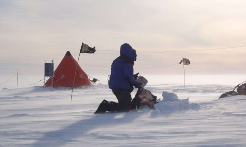 Authors call to adapt, not despair, over Antarctic ice