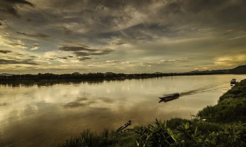 The Mekong keeps on yielding species new to science