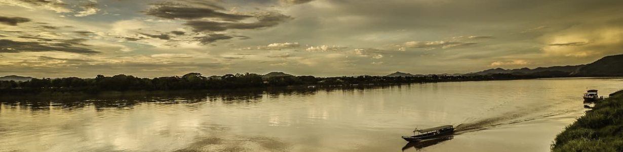 The Mekong keeps on yielding species new to science