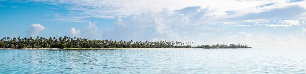 Corals thrive in clearer water with more access to sunlight