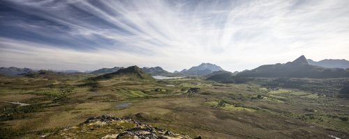 Arctic greening won’t save the climate