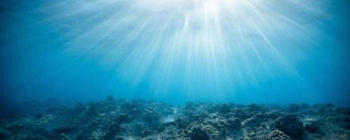 Marine heatwaves affect ecosystems far below the surface