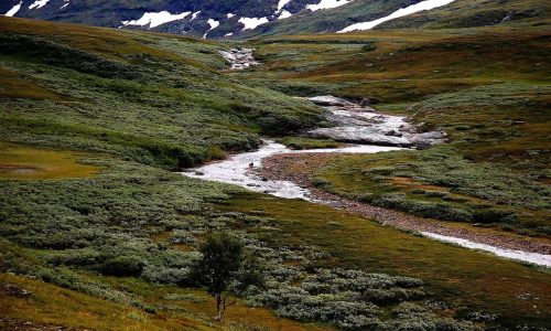 Much less methane might be released from thawing tundra than previously thought