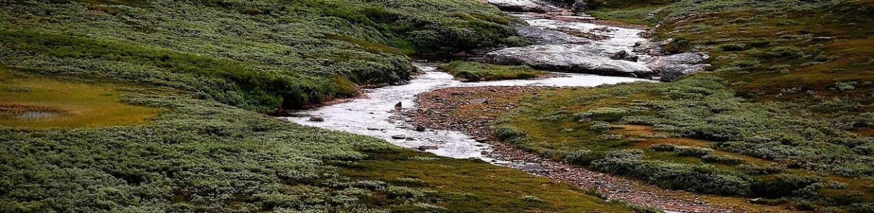 Much less methane might be released from thawing tundra than previously thought