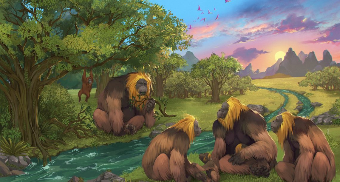 The world’s largest ape once went extinct. Knowing why can inform conservation today